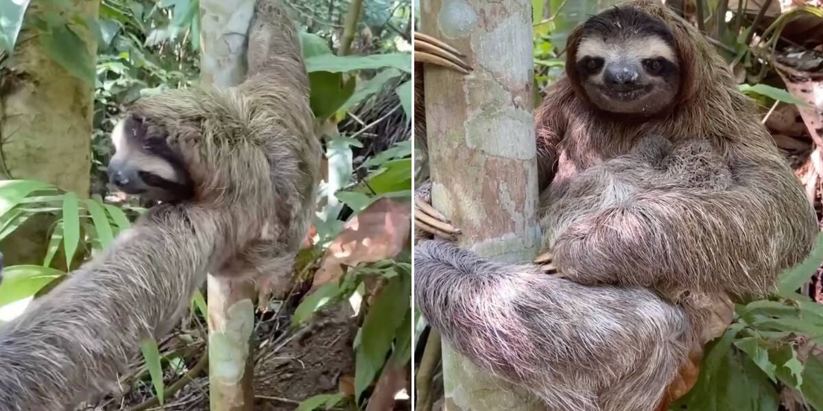 mère paresseuse cœur brisé se précipite retrouver bébé tombé combat (1) mère paresseuse cœur brisé se précipite retrouver bébé tombé combat